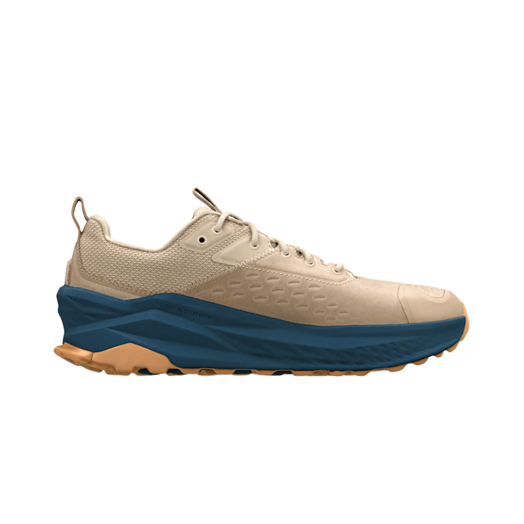 Olympus 6 Hike Low GTX Men 