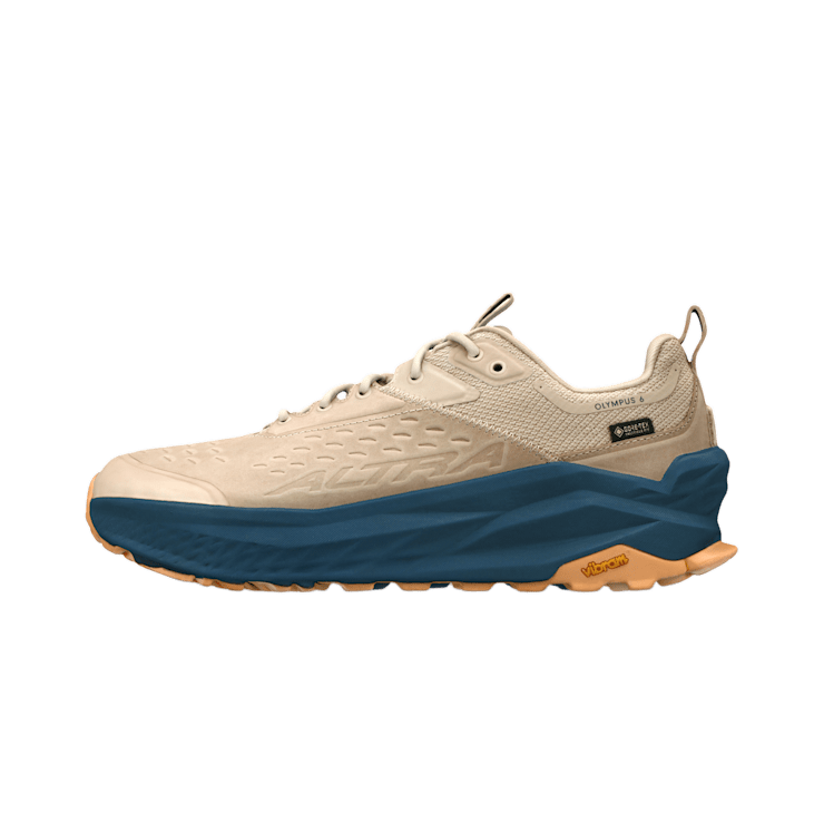 Olympus 6 Hike Low GTX Men