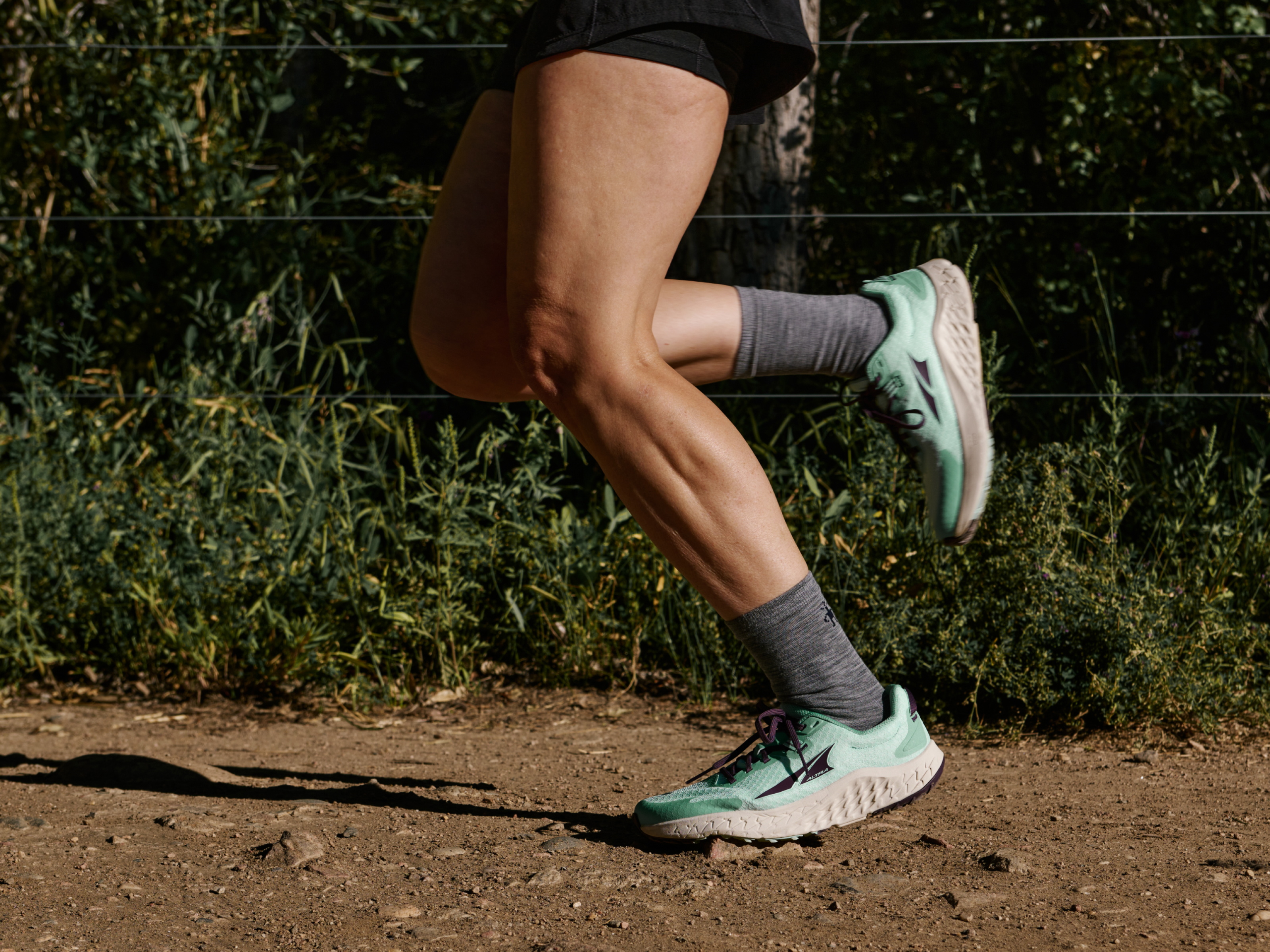 あら アルナス s-l400.jpg