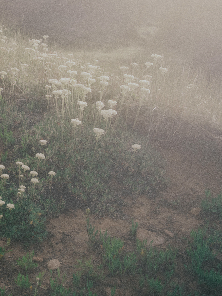 Altra is Now HSA/FSA Eligible