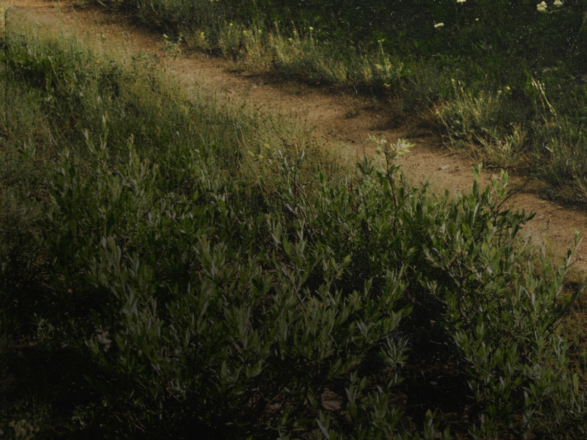 Connected, Free, Balanced